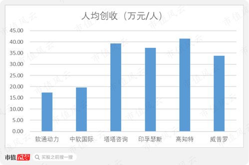 軟通動(dòng)力 私有化后的曲折上市路，軟件外包巨頭能否借注冊(cè)制圓夢(mèng)？